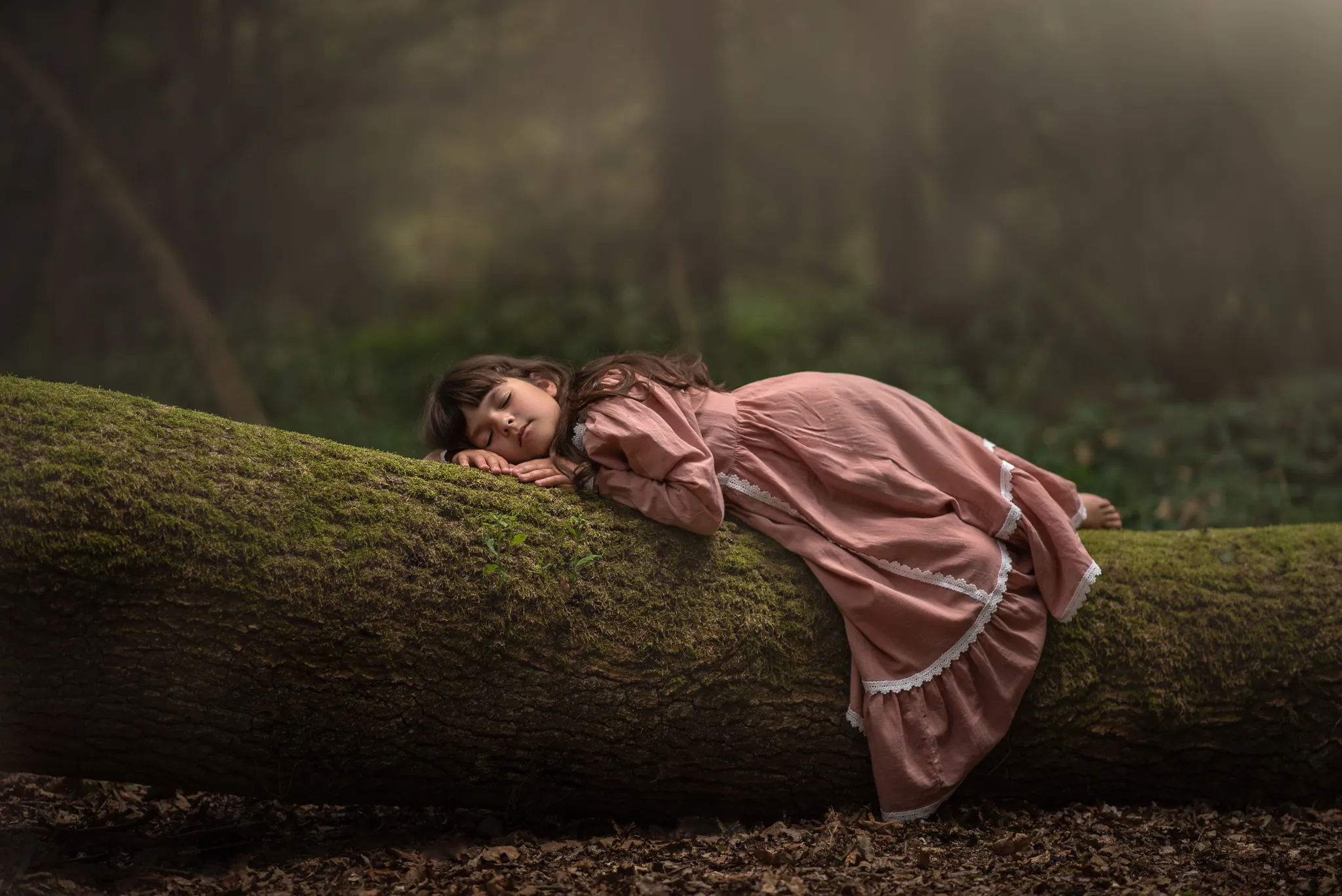 The Moorland Fairytale fine art photography