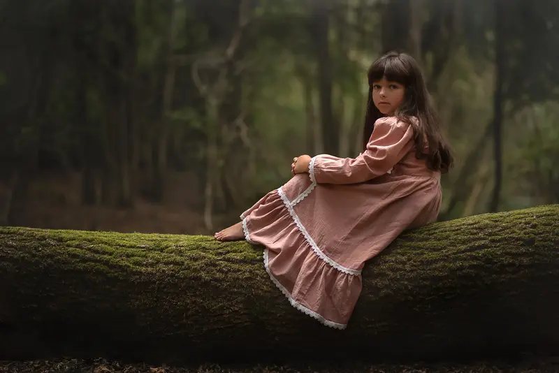 The Moorland Fairytale fine art photograph #2
